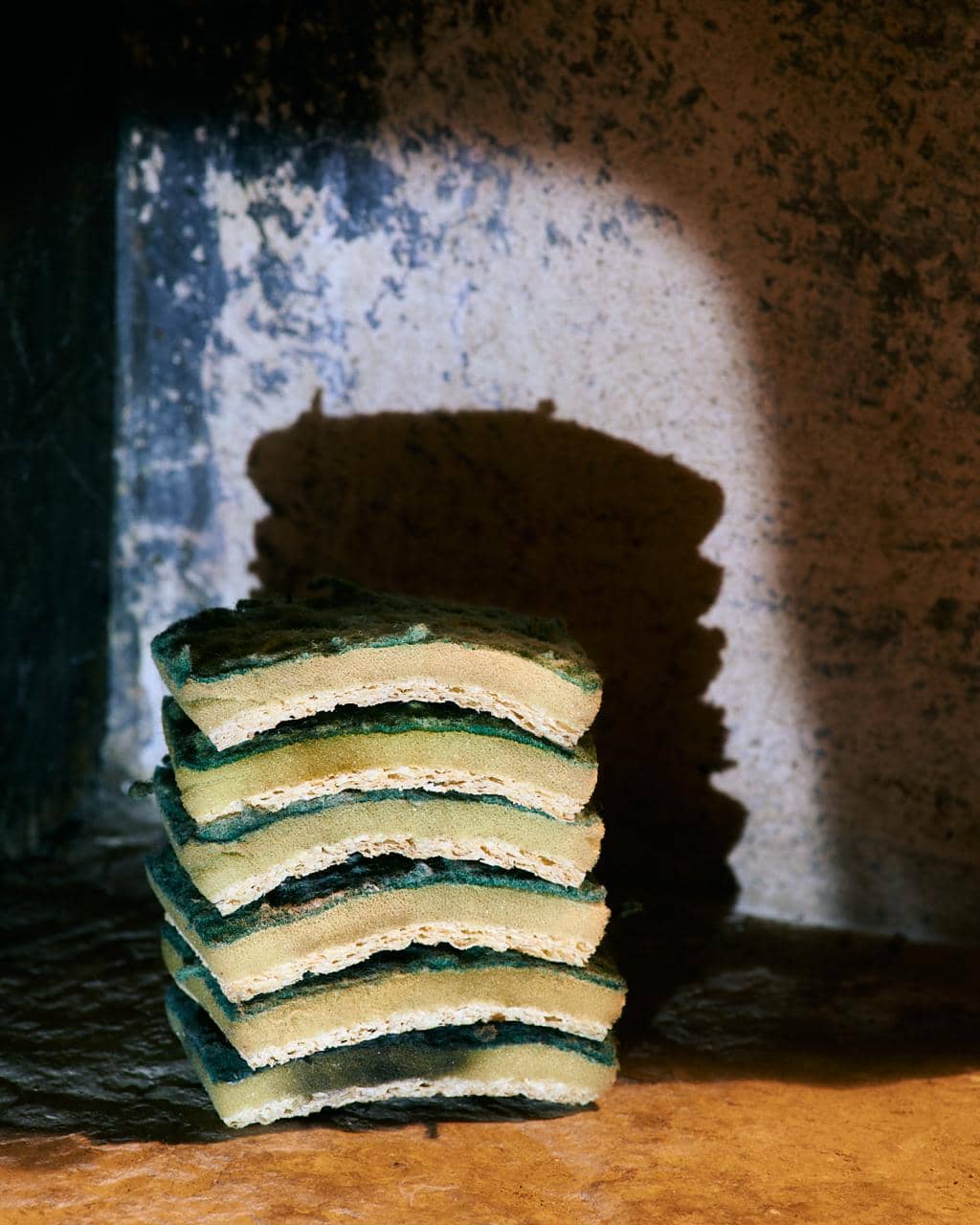 Scourers in dramatic light - 2020