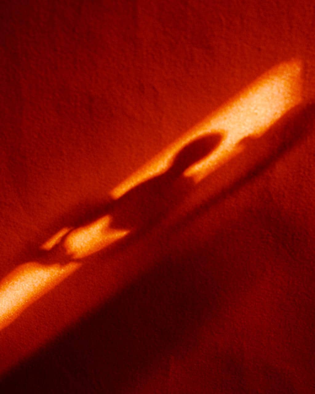 The world's most beautiful picture of a cow - 2021